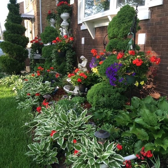 Meet your Posher, Vanassa - Picture 2 of 2